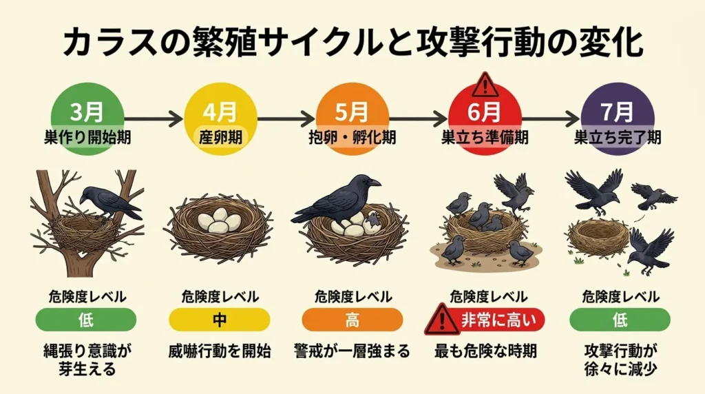 karasu-kougeki-haru-hanshokuki