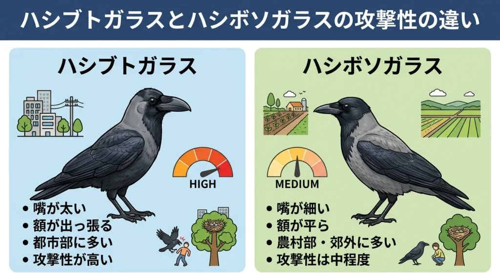 karasu-kougeki-haru-hanshokuki