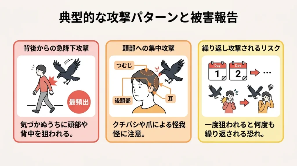 karasu-kougeki-haru-hanshokuki