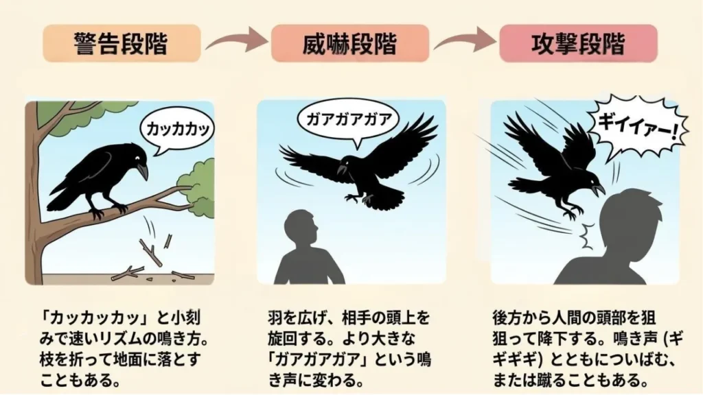 karasu-kougeki-haru-hanshokuki