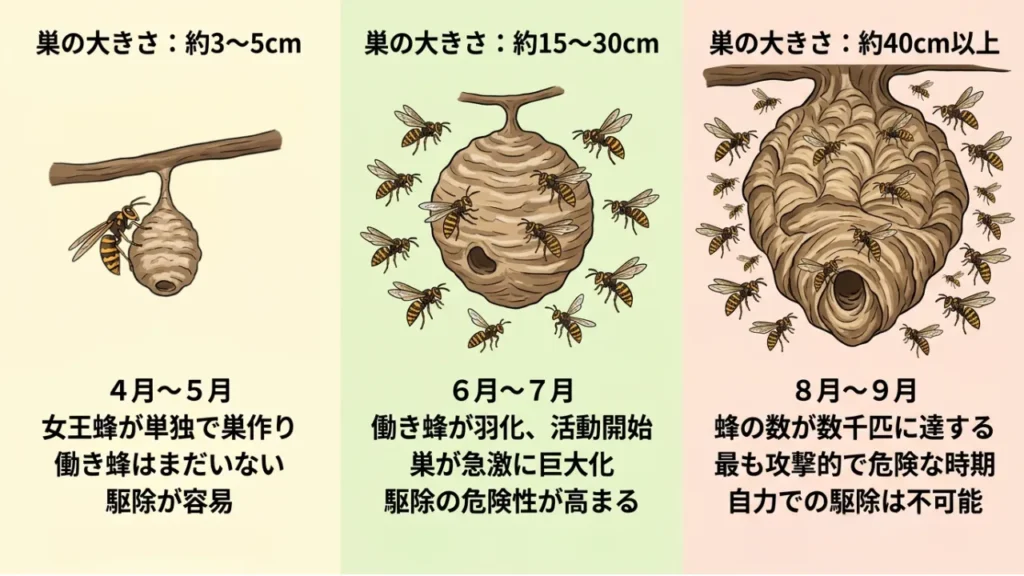 hachi-haru-sudukuri-taisaku
