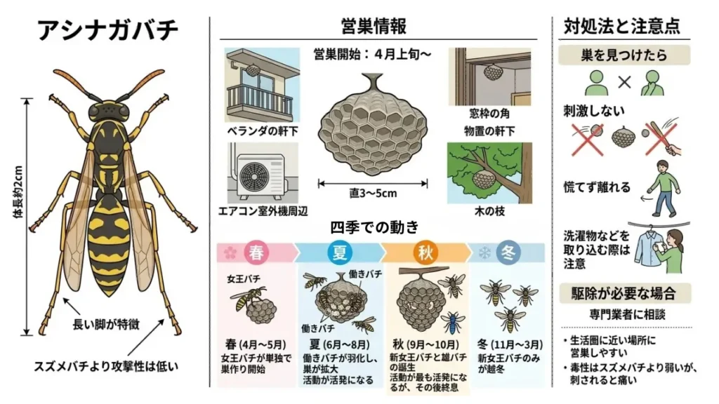 hachi-haru-sudukuri-taisaku