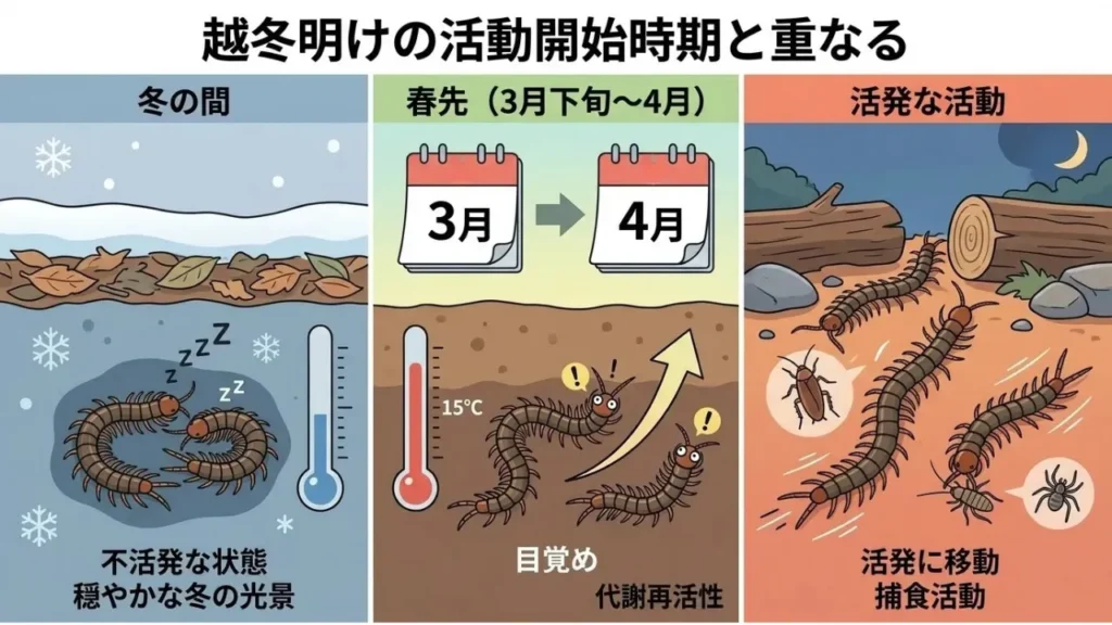 mukade-haru-tairyouhassei-taisaku