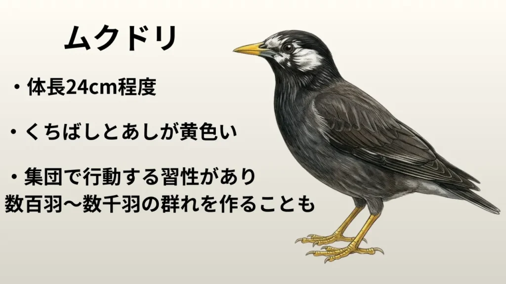 haru-gaichou-higai-taisaku-kanzen-guide