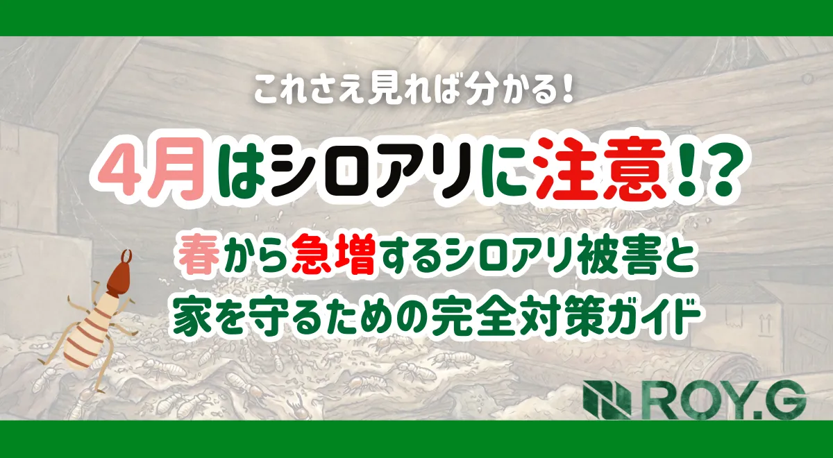 サムネイル　シロアリ