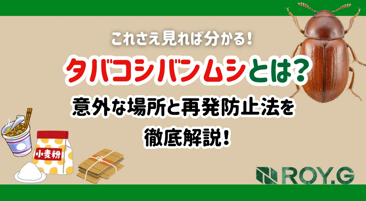 シバンムシ 発生 源 わからない