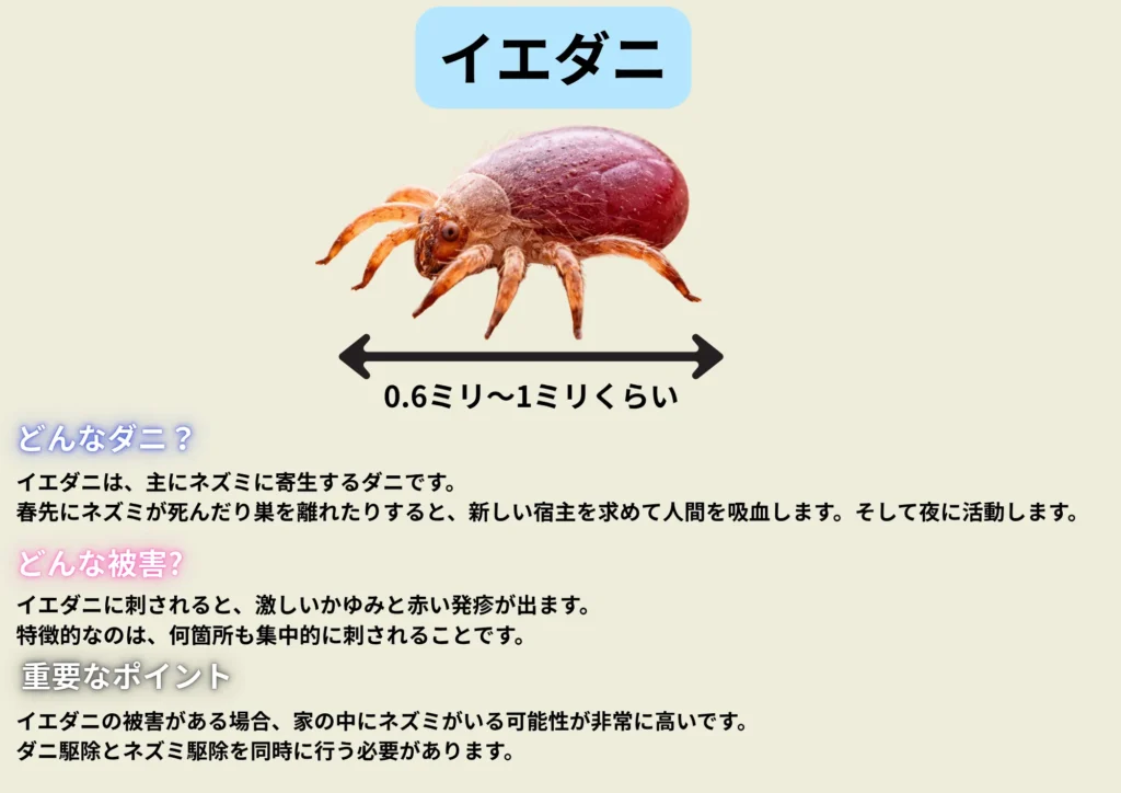 春に増えるダニの種類と被害とは?4月から急増する理由と効果的な対策について | ROY株式会社