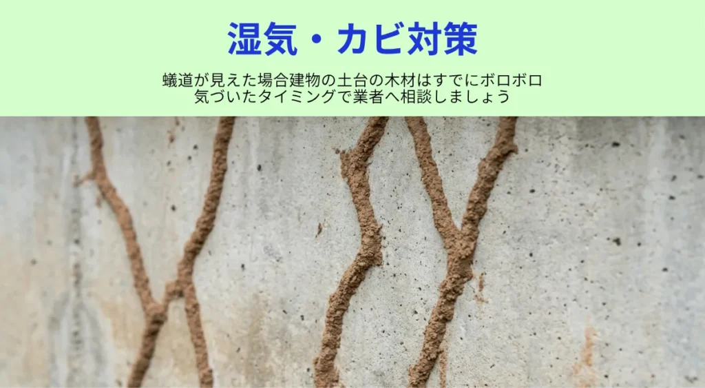梅雨前に必ずやるべき湿気対策・床下