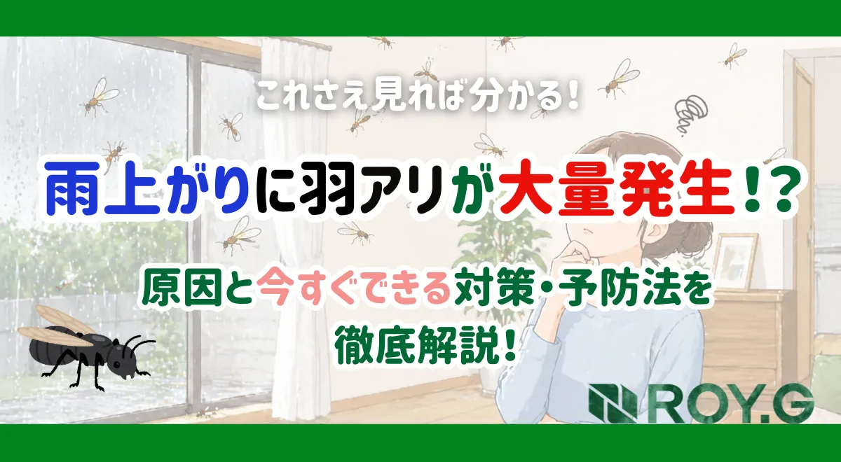 羽ありサムネ
