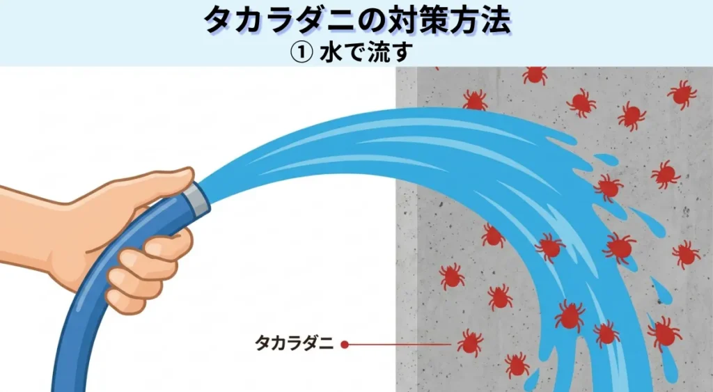 タカラダニの対策方法