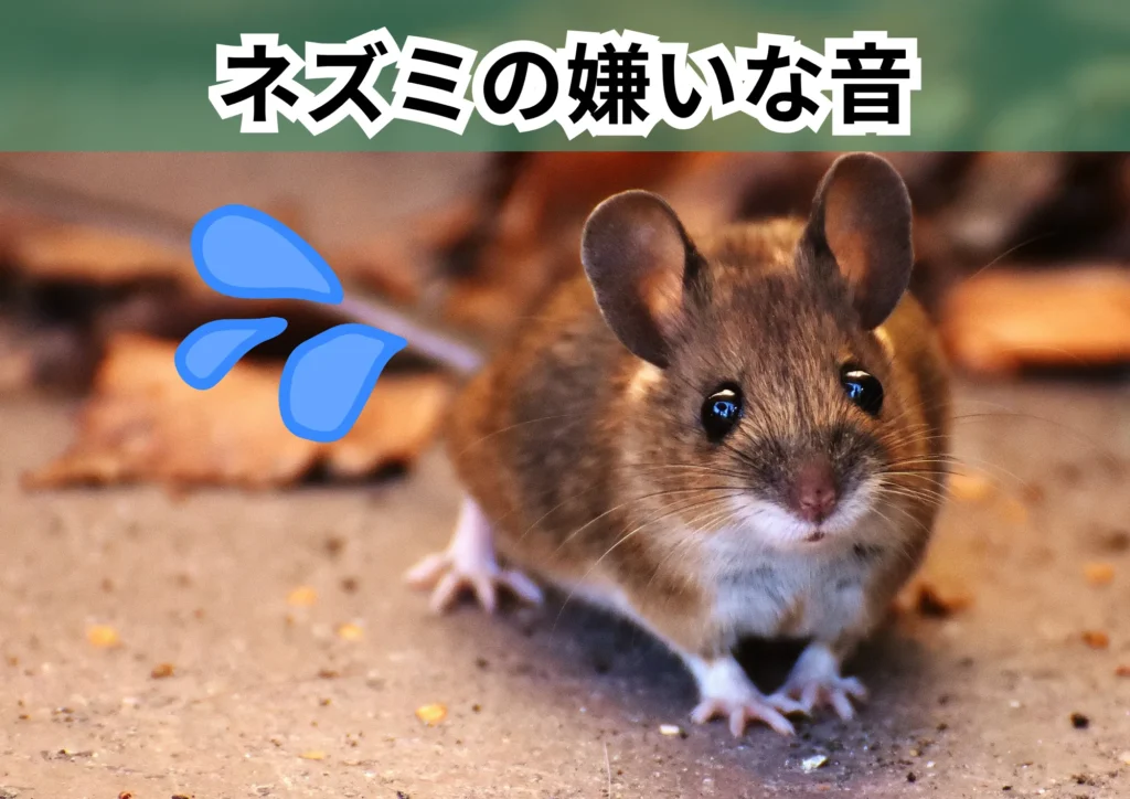 ネズミの嫌いな音