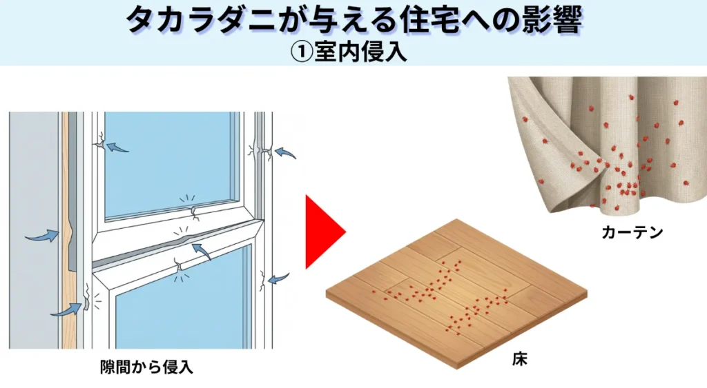 タカラダニが与える住宅への影響