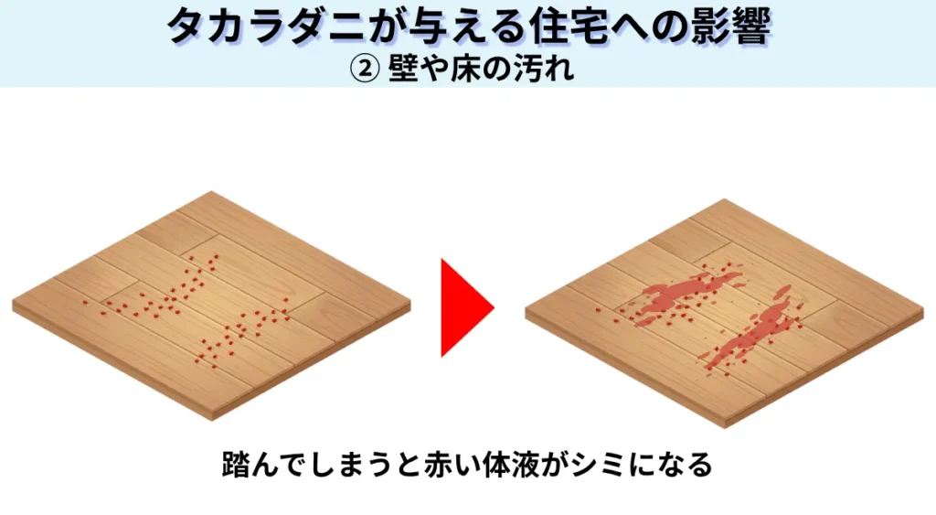 タカラダニが与える住宅への影響