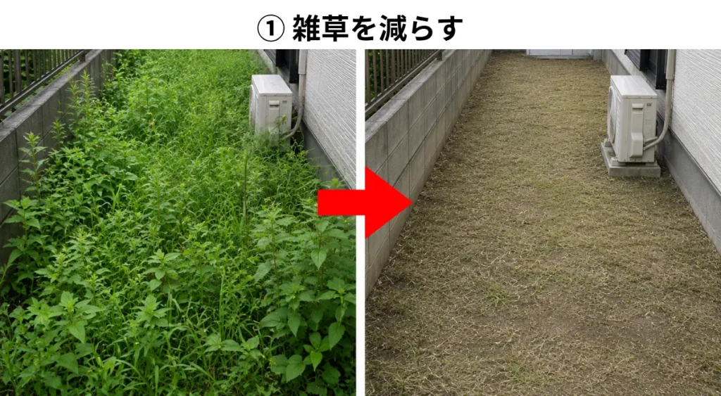 ヨコバイ対策・雑草を減らす