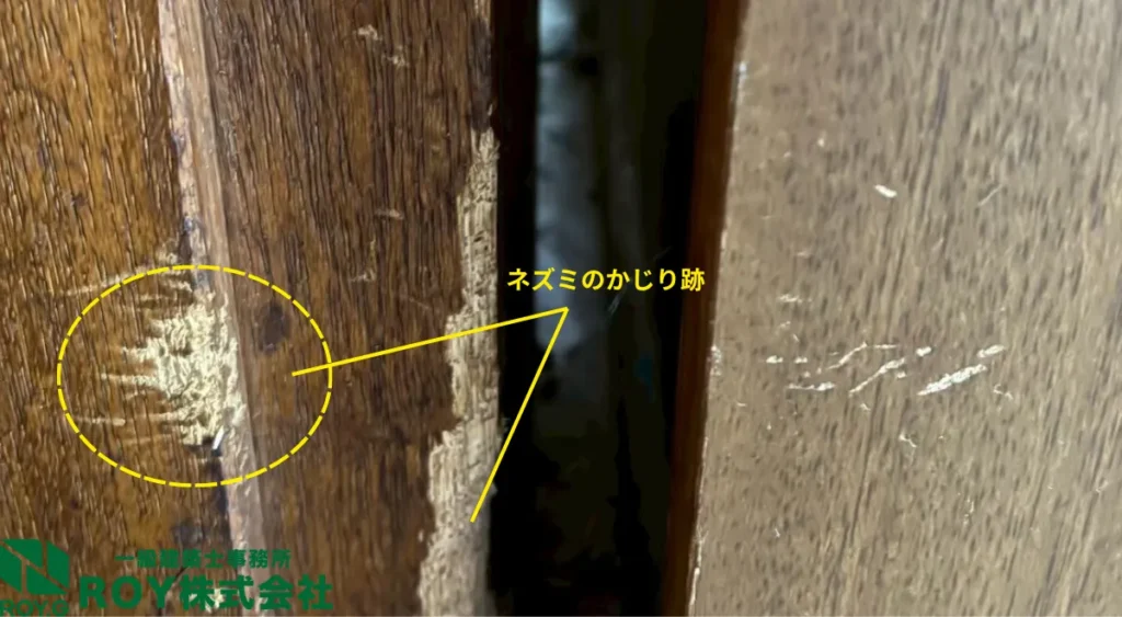 夏の害獣被害・配線被害・ネズミ被害・住宅被害