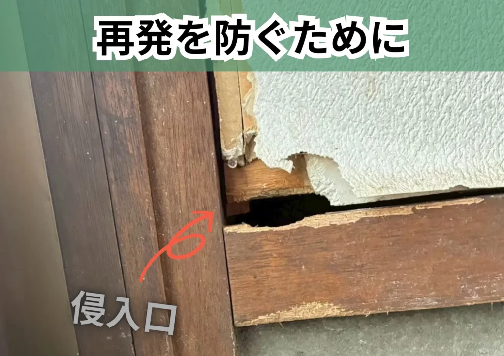 再発を防ぐために