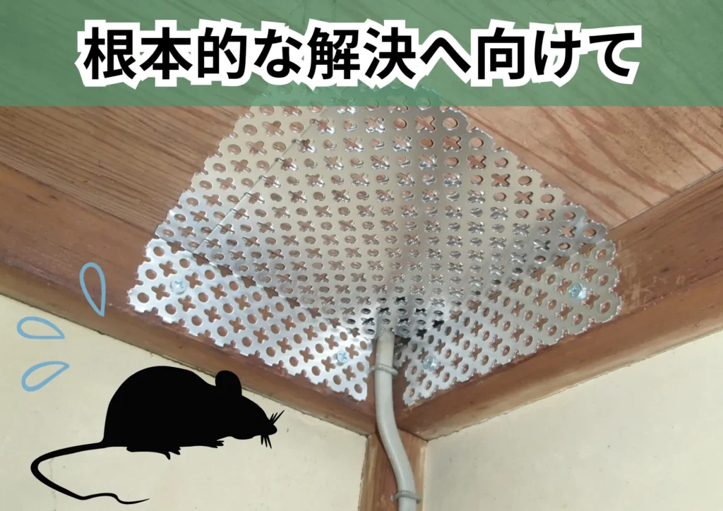 根本的な解決に向けて