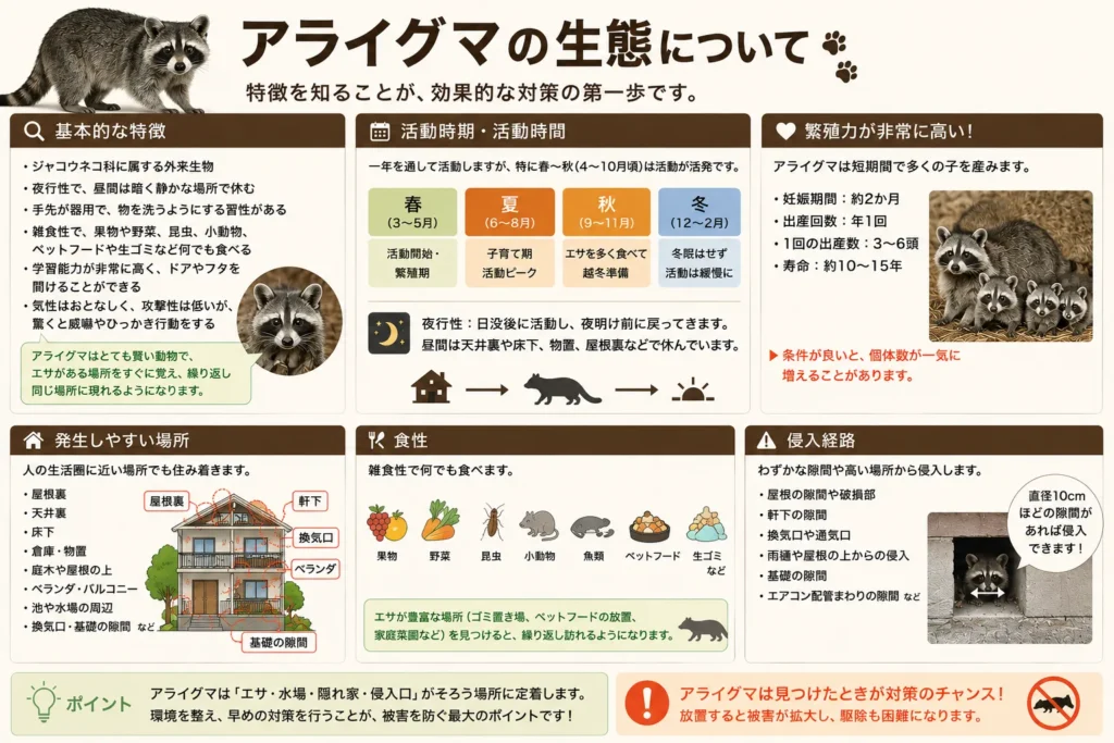 夏の害獣/アライグマ