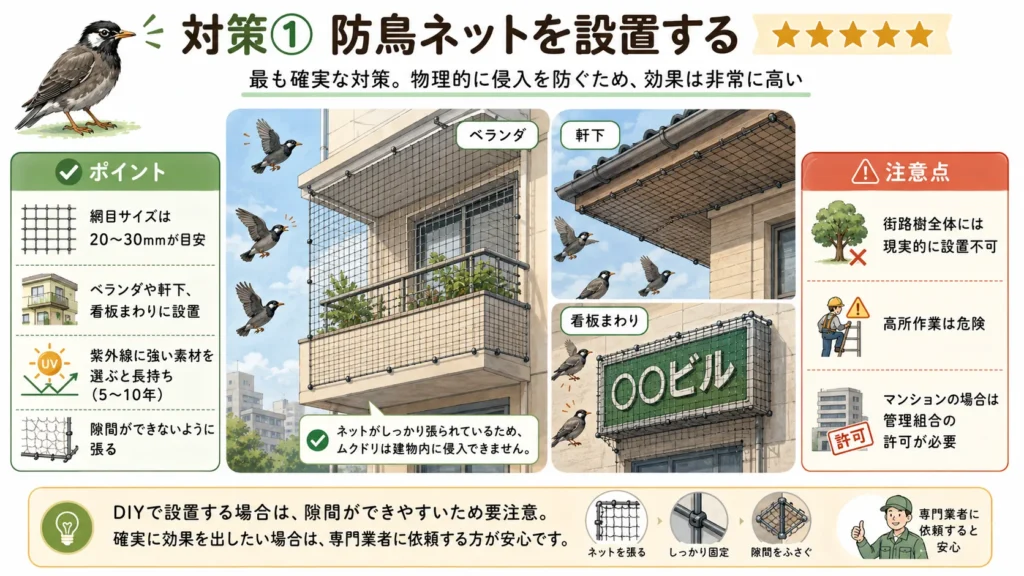 starling-evening-noise-droppings