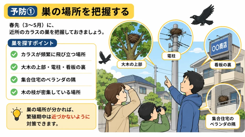 crow-summer-attack-warning-signs