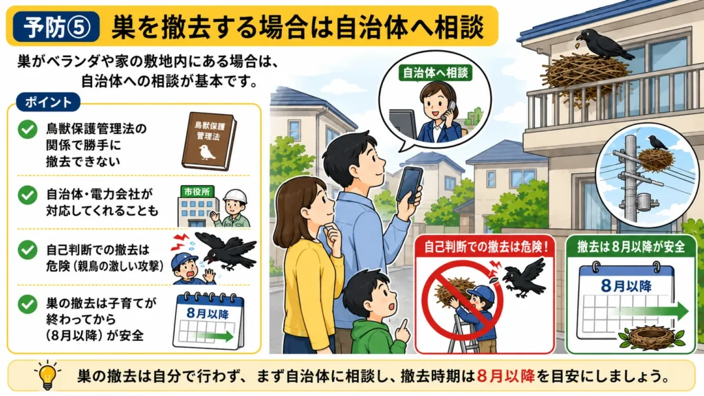 crow-summer-attack-warning-signs