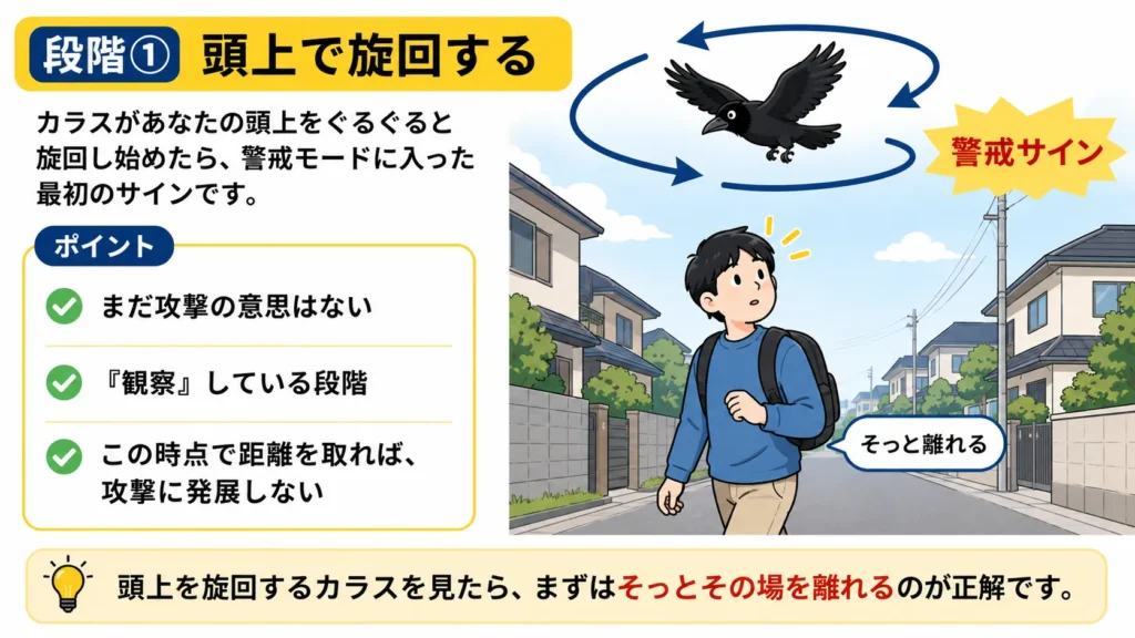 crow-summer-attack-warning-signs
