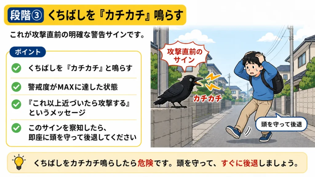 crow-summer-attack-warning-signs