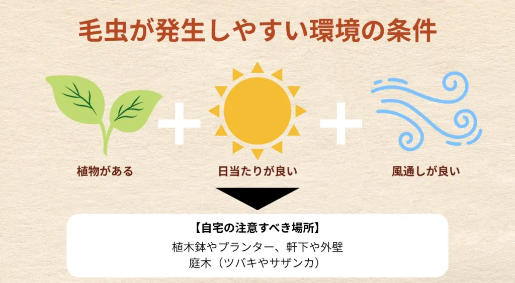 毛虫が発生する場所/条件/環境