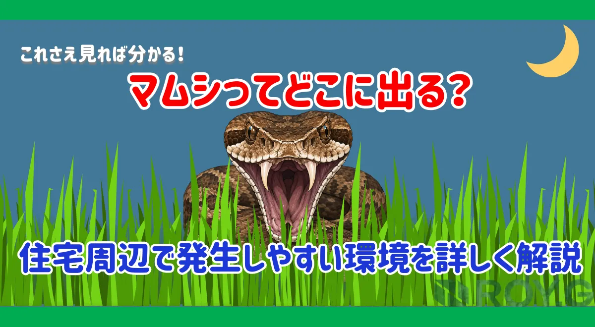 マムシ対策完全ガイド｜生態・発生場所・危険性・住宅リスクまで徹底解説