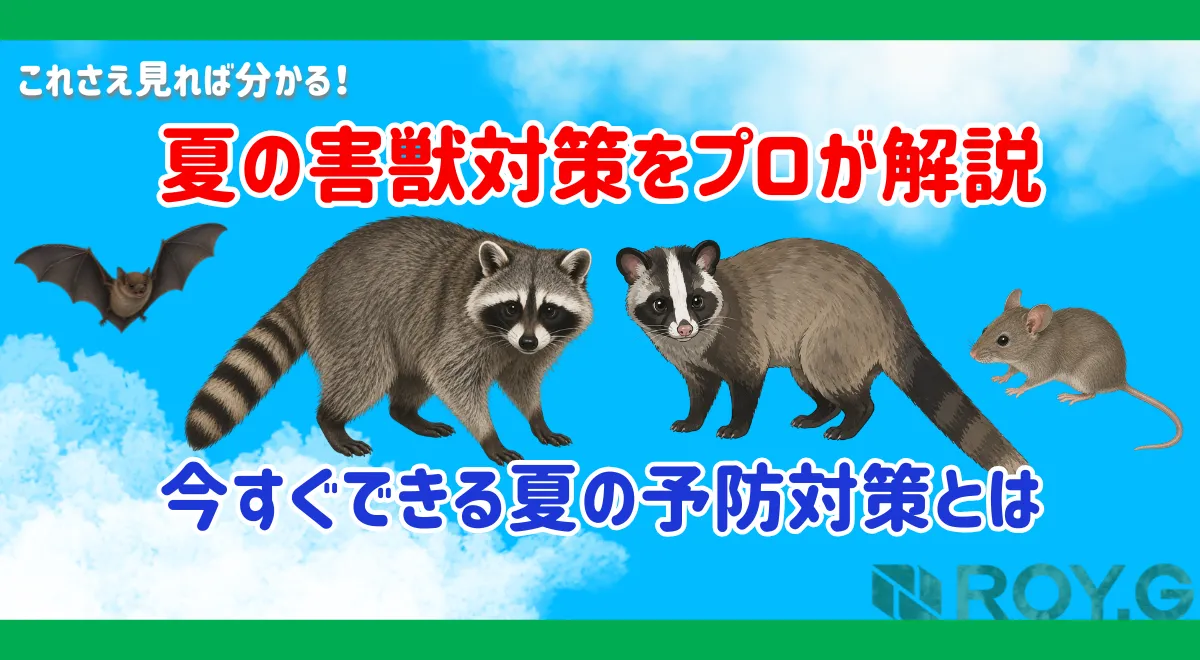 天井裏の音は危険サイン？夏に発生・活発化する害獣と対策方法を徹底解説
