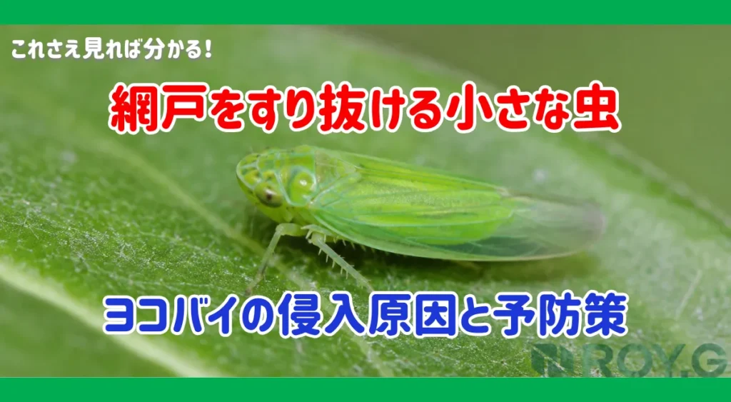 ヨコバイが大量発生?小さな虫が網戸をすり抜ける理由と住宅への影響・対策法を害虫の専門家が解説
