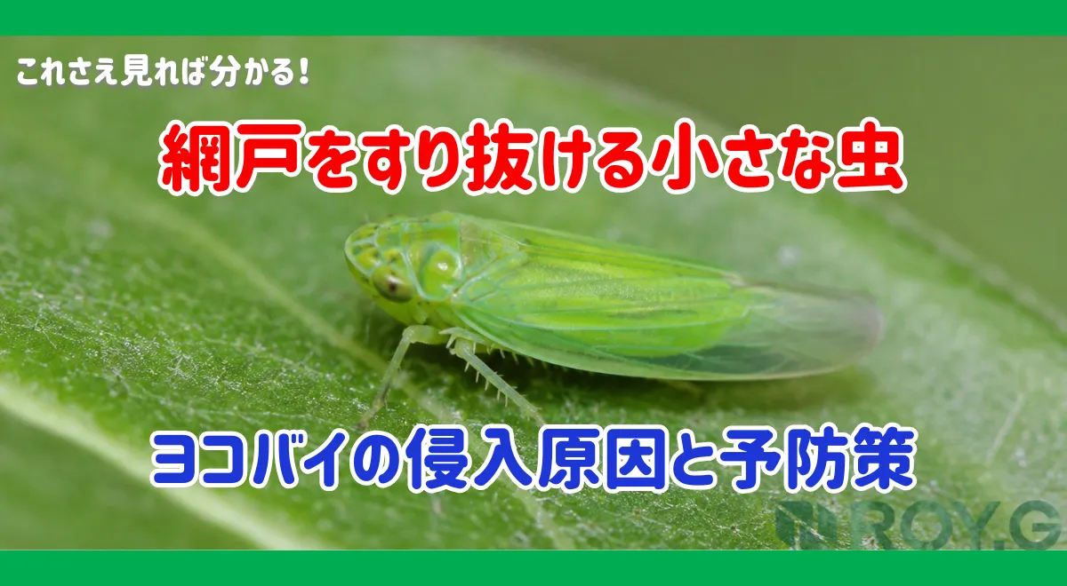 ヨコバイが大量発生？小さな虫が網戸をすり抜ける理由と住宅への影響・対策法を害虫の専門家が解説