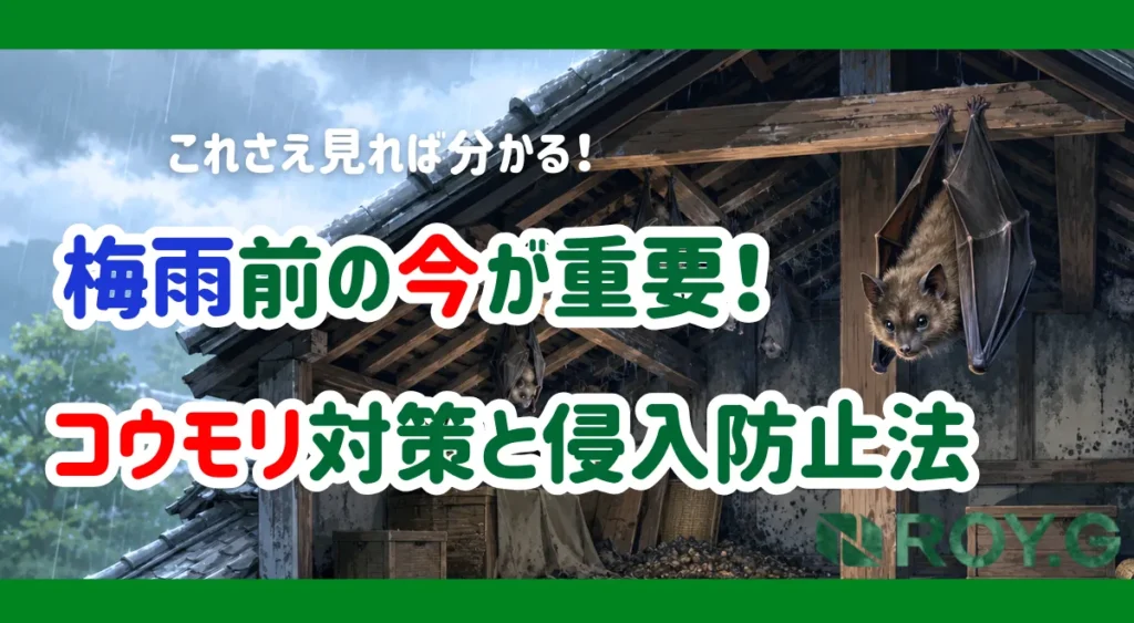梅雨前 コウモリ対策と侵入防止法