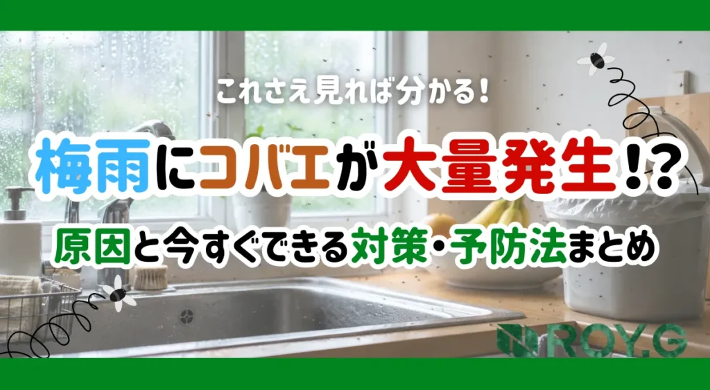 梅雨にコバエが大量発生⁉︎原因と今すぐできる対策・予防法まとめ