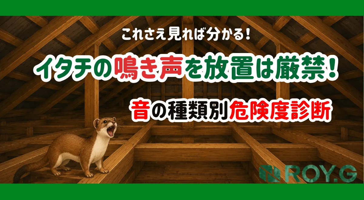 イタチの 鳴き声を放置は危険