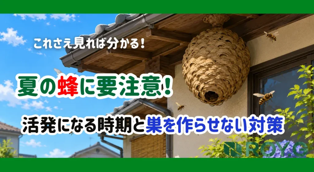 夏の蜂に要注意