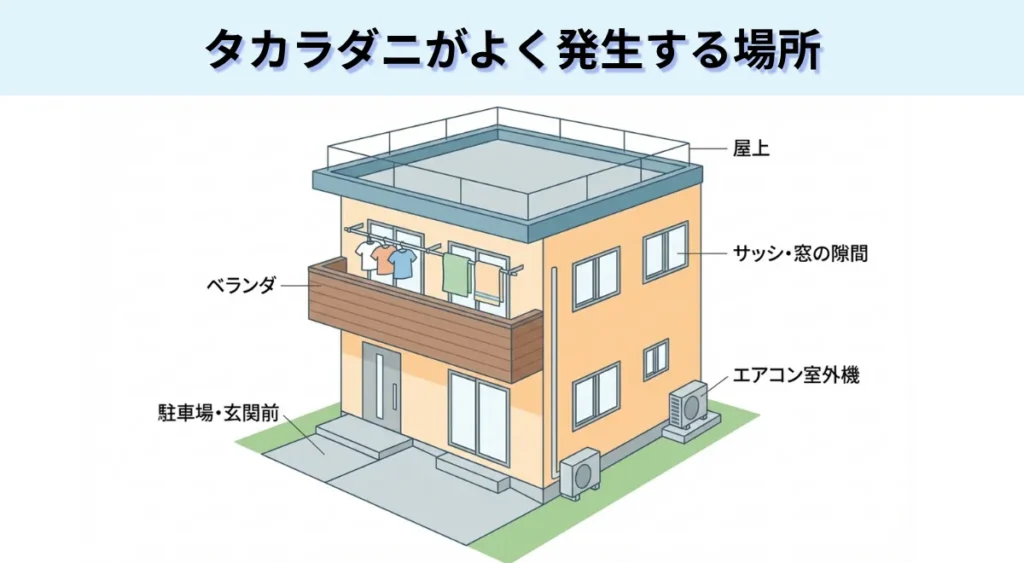 タカラダニがよく発生する場所