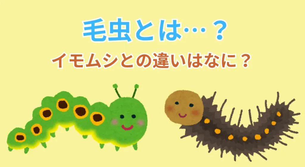 毛虫とは