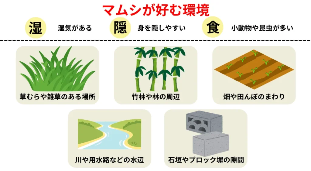 マムシが好む環境・場所