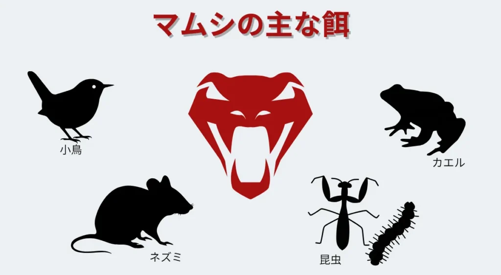 マムシの主な餌
