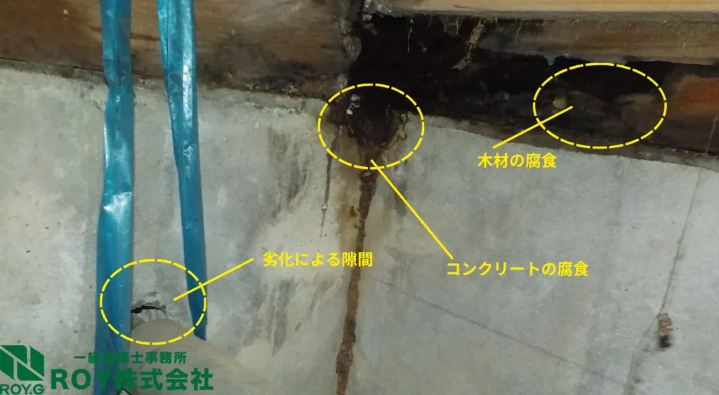 害虫による住宅被害