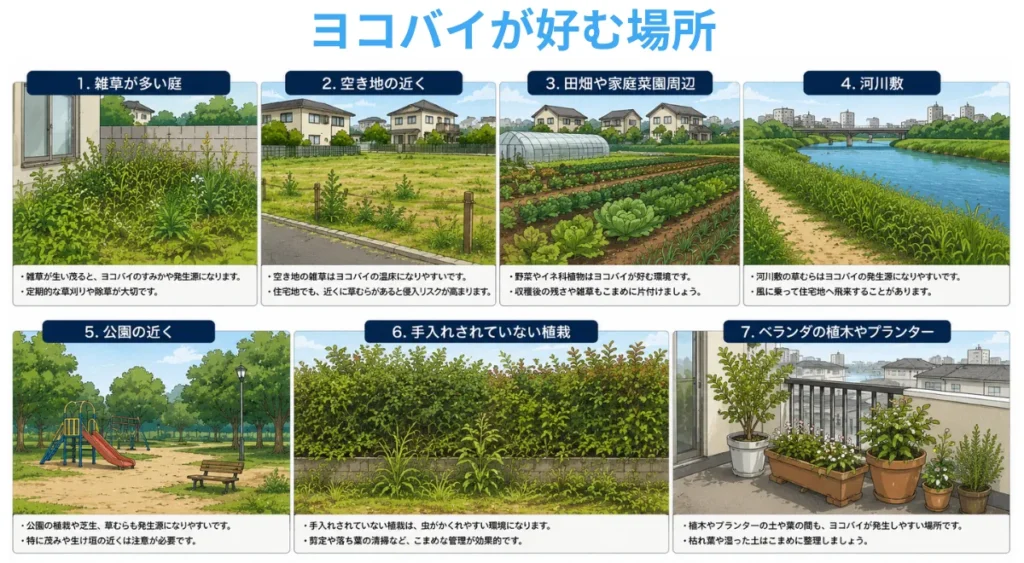 ヨコバイの発生場所・好む環境