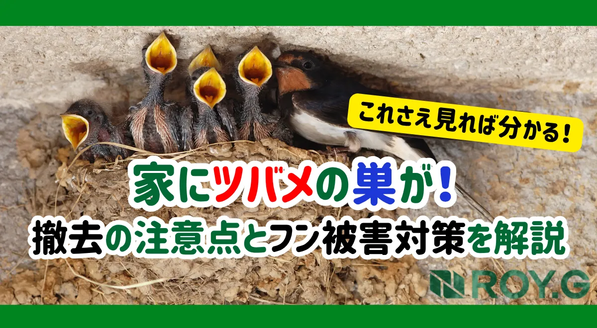 ツバメ 巣 撤去