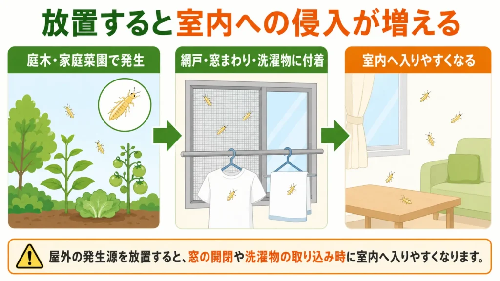 チャノキイロアザミウマの住宅リスク・室内への侵入