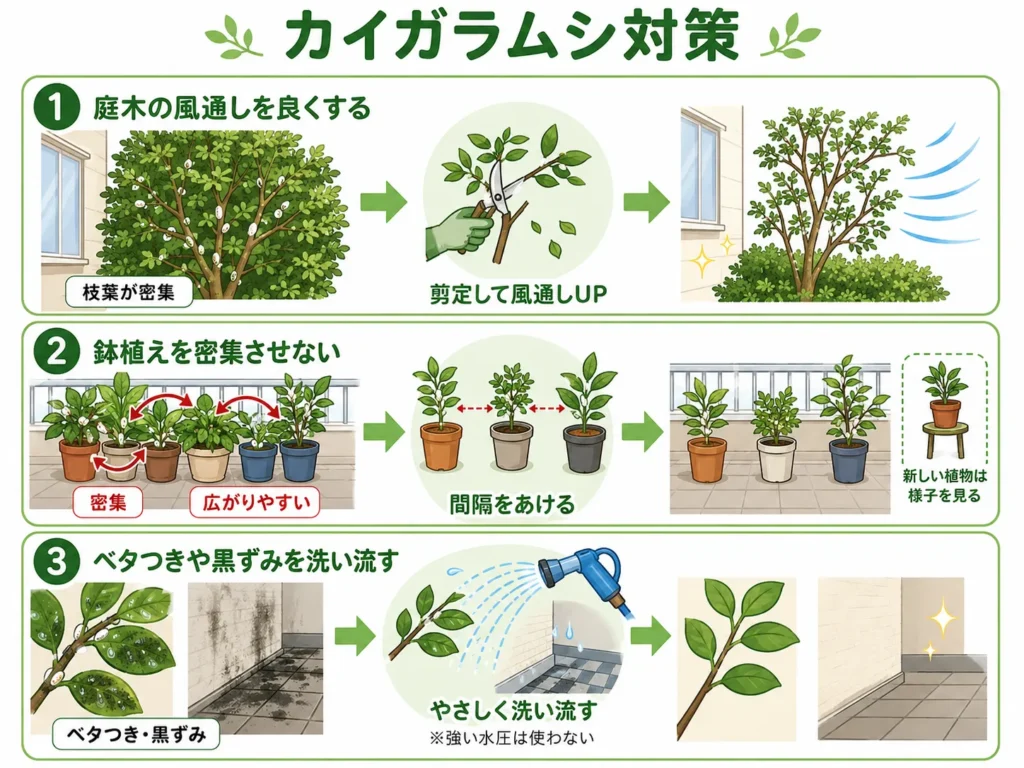 自分でできるカイガラムシ対策・庭木の風通しの見直し・鉢植えを密集させない・黒ずみを洗い流す