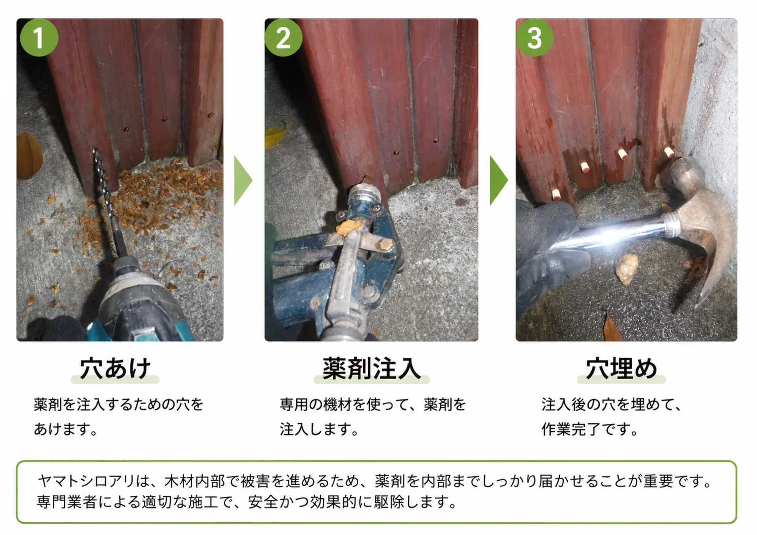 シロアリ　蟻道　施工事例
