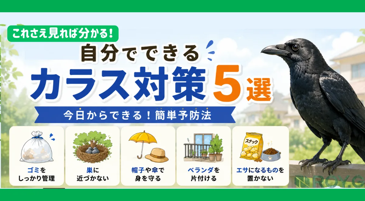 【6月は要注意】カラスに絶対やってはいけないNG行動5選｜威嚇・攻撃される理由とは？