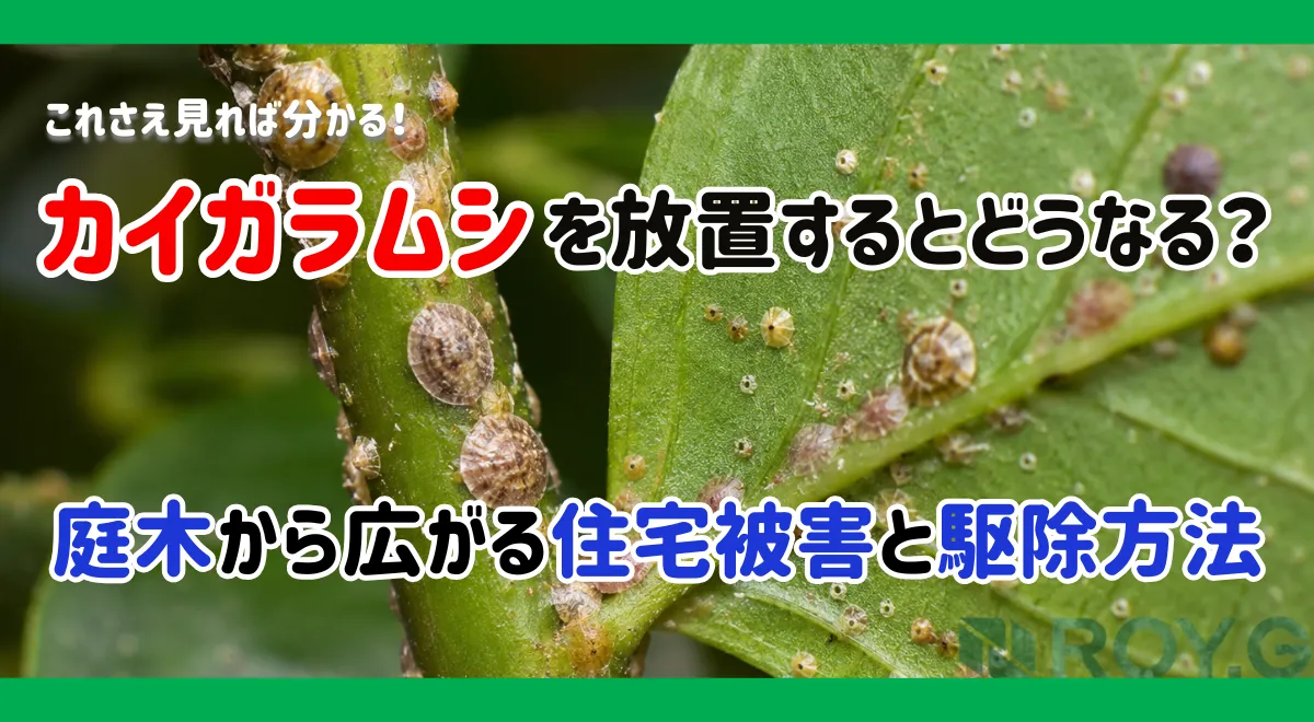 カイガラムシによる住宅被害とは？発生しやすい場所・放置リスク・対策方法を徹底解説