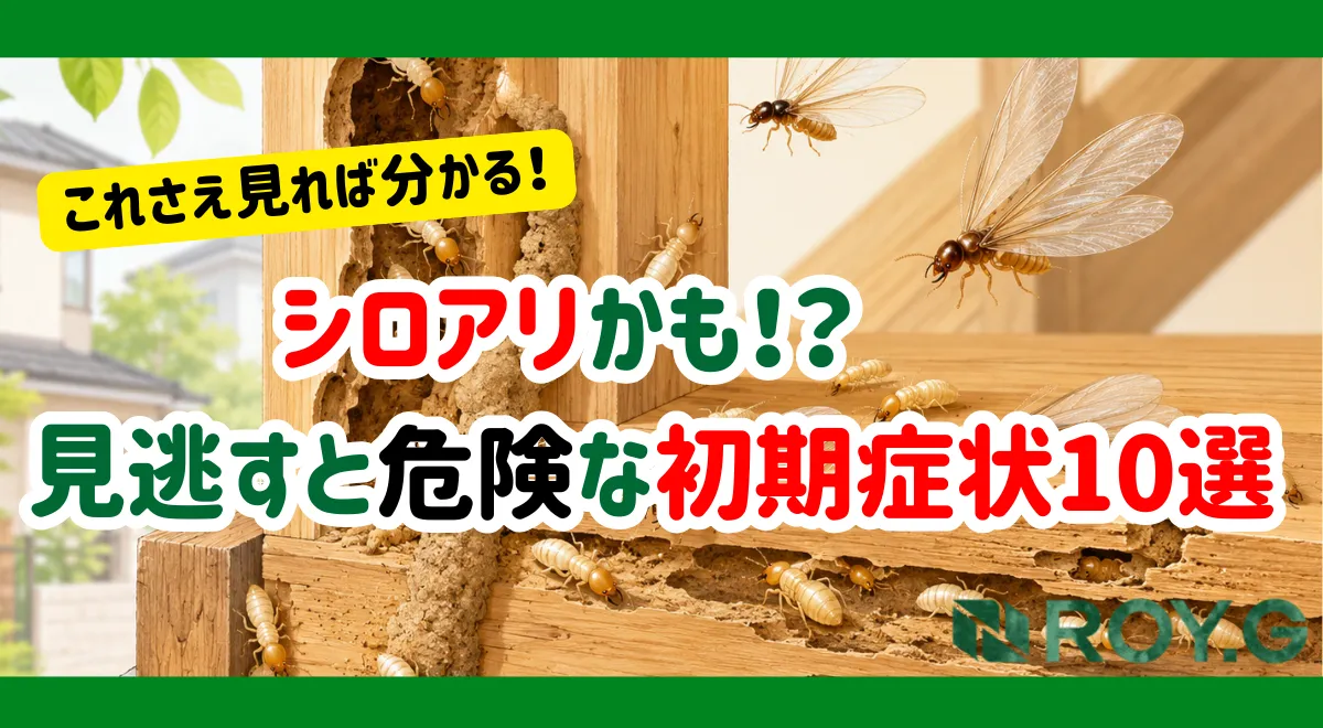 シロアリ　見逃すと危険な初期症状１０選