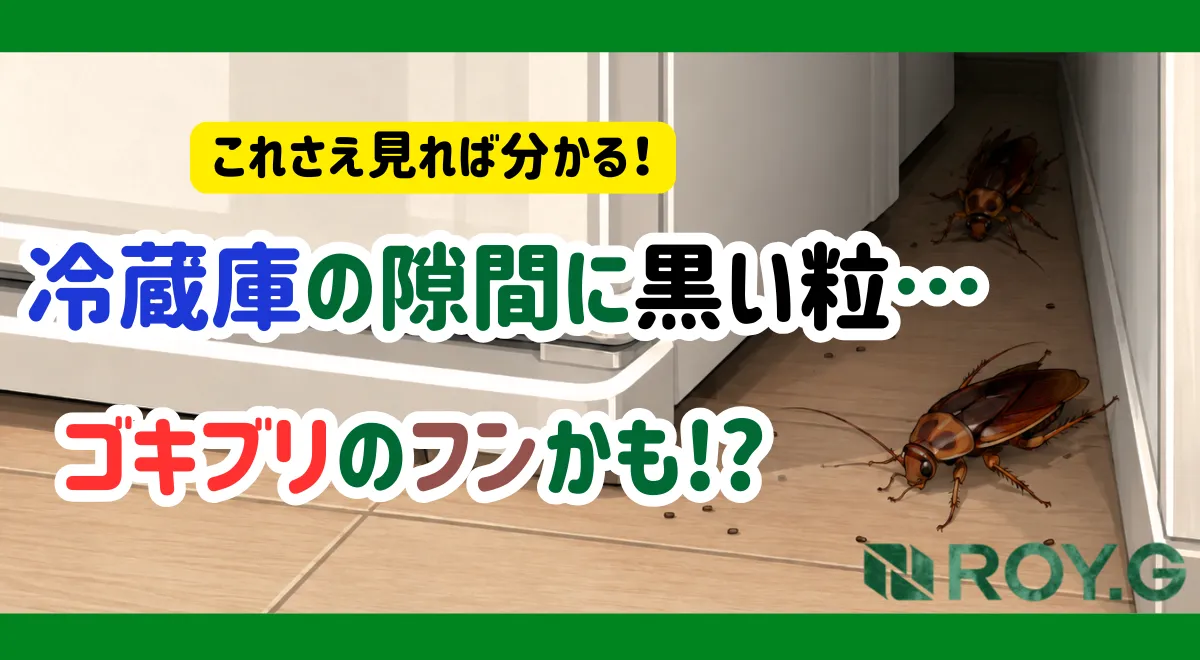 冷蔵庫の隙間に黒い粒…ゴキブリのふんかも